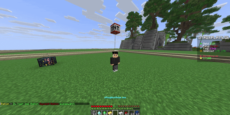 Ballon Image 2